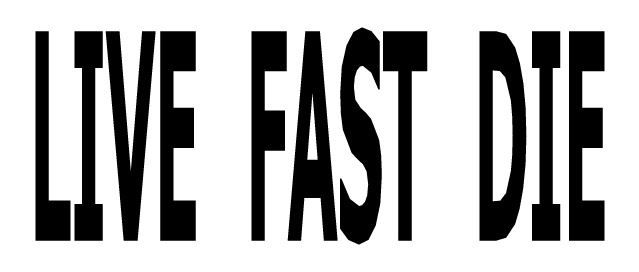  LIVEFASTDIE, 2009 / approx 200 x 40 cm, handprinted lettering on canvas